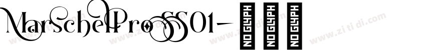 MarschelPro SS01字体转换